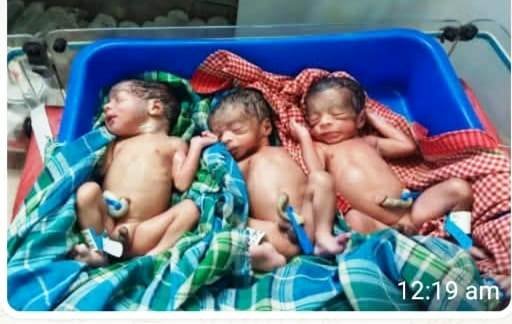 With the prompt action of the health department, a Pahari Korwa woman gave birth to three healthy newborns.