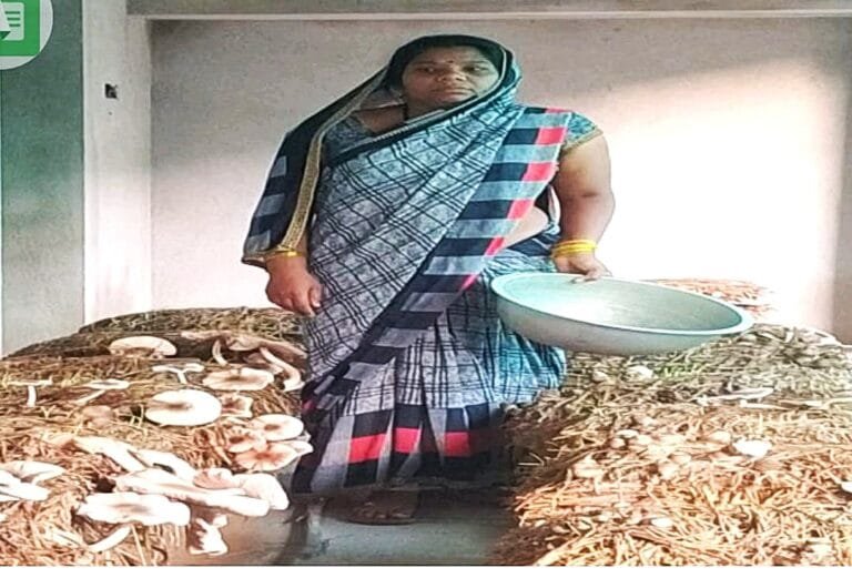 14 women from Palsabhadi have carved out a path for their livelihood by joining a self-help group.