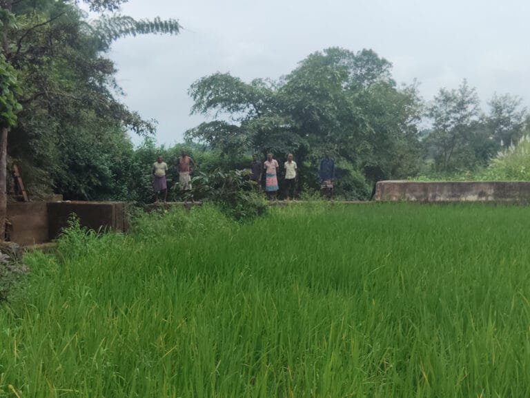 Stop dam makes tribal families prosperous