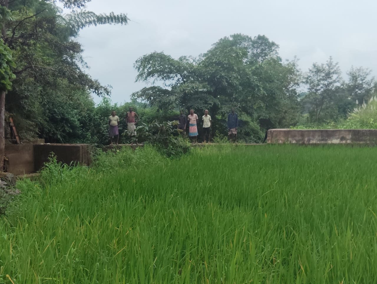 Stop dam makes tribal families prosperous