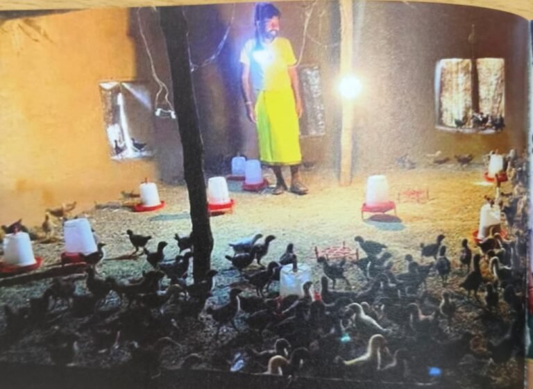 ‘Chicken and goat farming boosts Shivkumar’s income, earning 10,000-15,000 rupees per month’