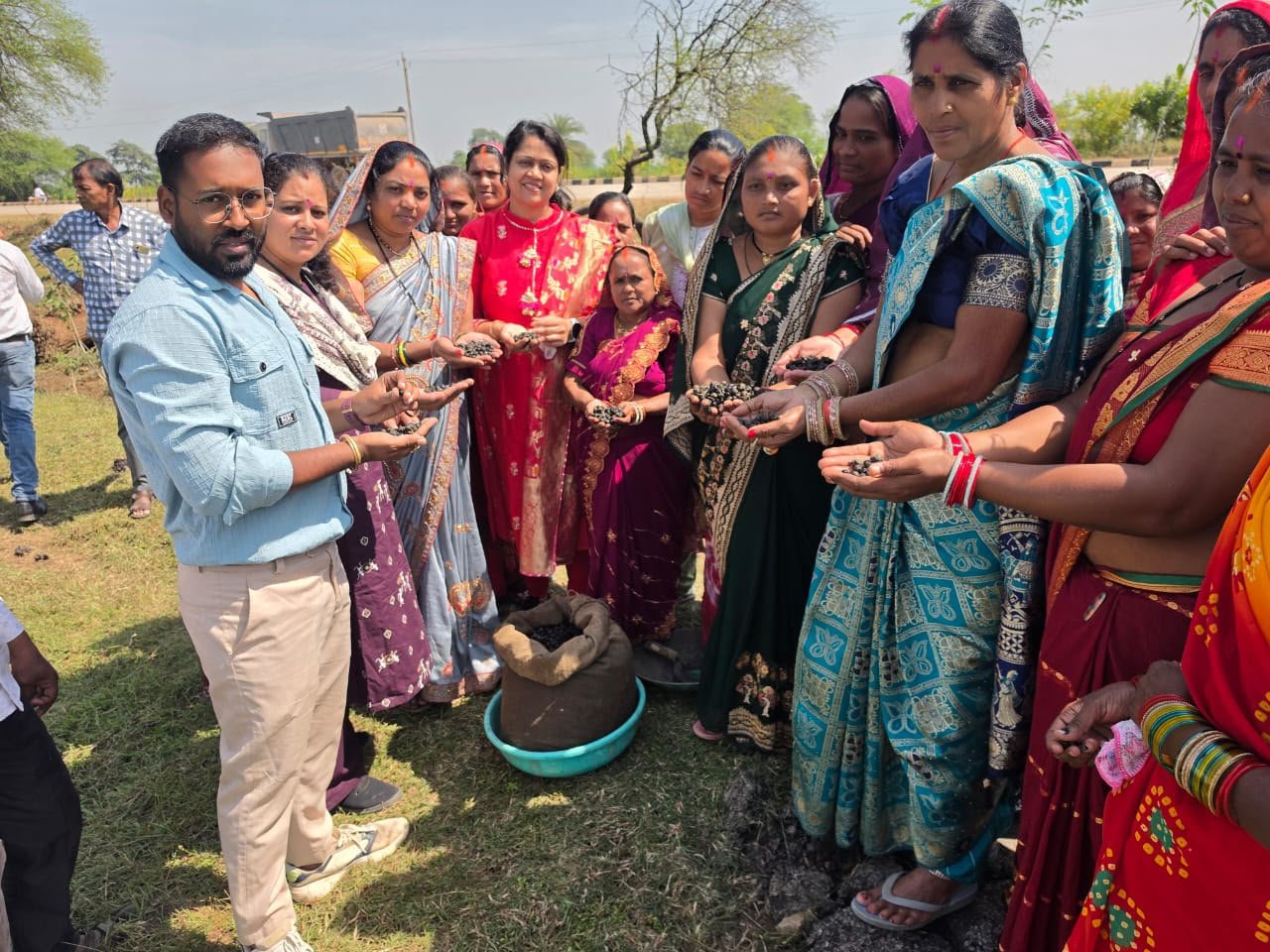 Women of Dhamtari are moving towards self-reliance through Makhana cultivation.