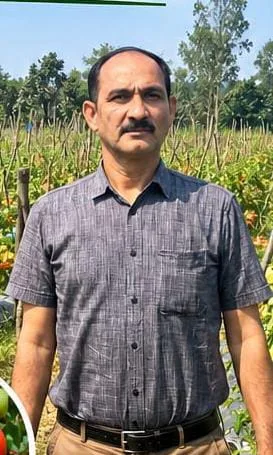 Shahid Reaps Rewards from Advanced Tomato Farming; Earns ₹1.20 Lakh from 2 Acres