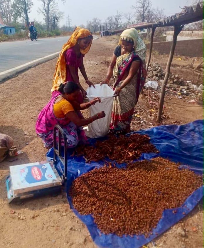 Bastar’s Organic Forest Produce to Gain Global Recognition