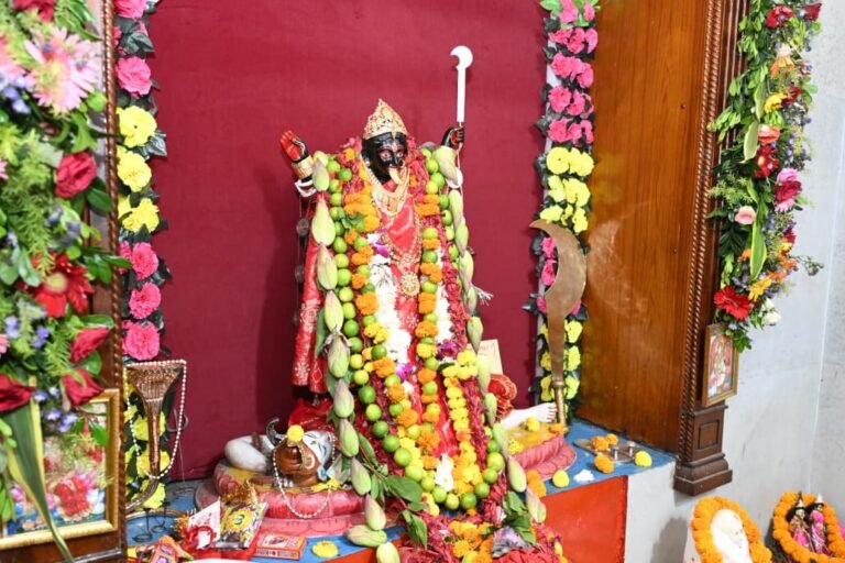 Chief Minister Shri Vishnu Deo Sai offered prayers to Goddess Kali and Goddess Durga, wishing for the state’s happiness and prosperity.